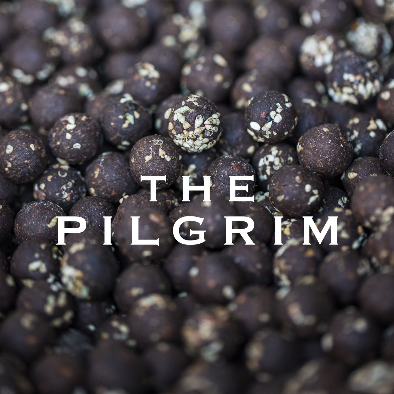 THE PILGRIM